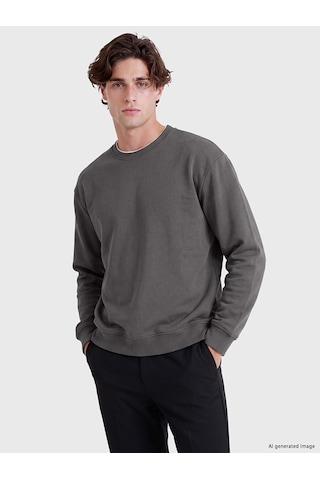 Lcw Vision Gri Bisiklet Yaka Erkek Kalın Sweatshirt
