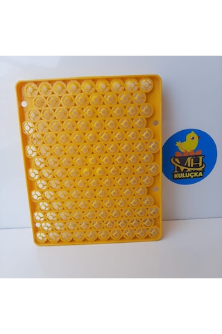 Bıldırcın Viyolü Kuluçka Makinesi Için 129 Yumurta 38x31