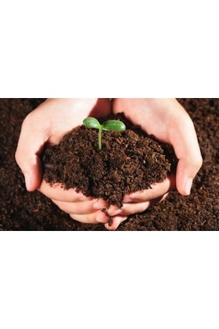 Nif Organik Süper Torf Bitki Toprağı 10 L