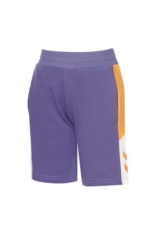 Hummel Alıne Çocuk Şort 932130-9963 Mor