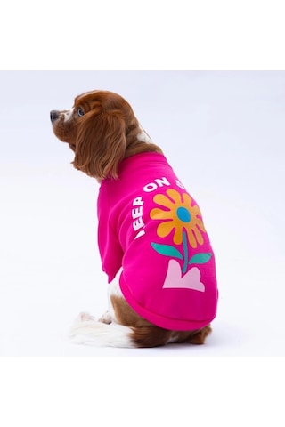 Pawstar Pembe Lahti Polarlı Küçük Irk Köpek Sweatshirtü