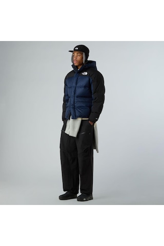 The North Face Kaz Tüyü Hmlyn Erkek Parka Nf0a4qyx92a1 Lacivert