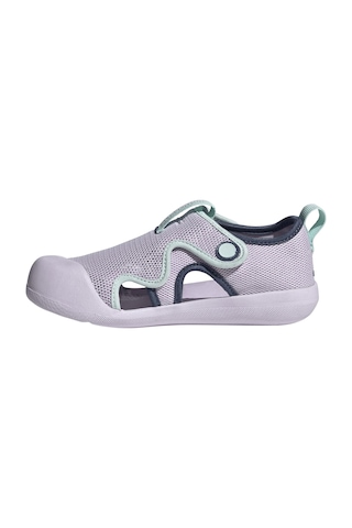 Adidas Performance Altaventure 3 C Çocuk Sandalet Jq2283 Mor