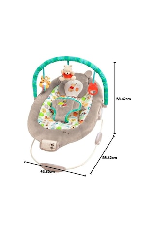 Bright Starts Sallanan Bebek Titreşimli Ana Kucağı