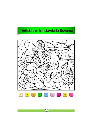 Yetişkinler İçin Sayılarla BOYAMA Kitabı