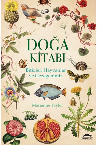 Maya Popüler Bilim Seti - 6 Kitap Takım