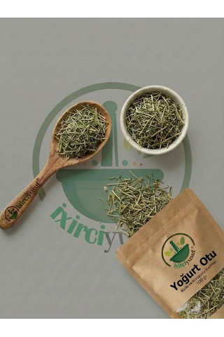 Yoğurt Otu Sarı Yoğurt Otu Galium Verum Lady S Bedstraw Kurutulmuş Bitki Çayı 100 G Doğal