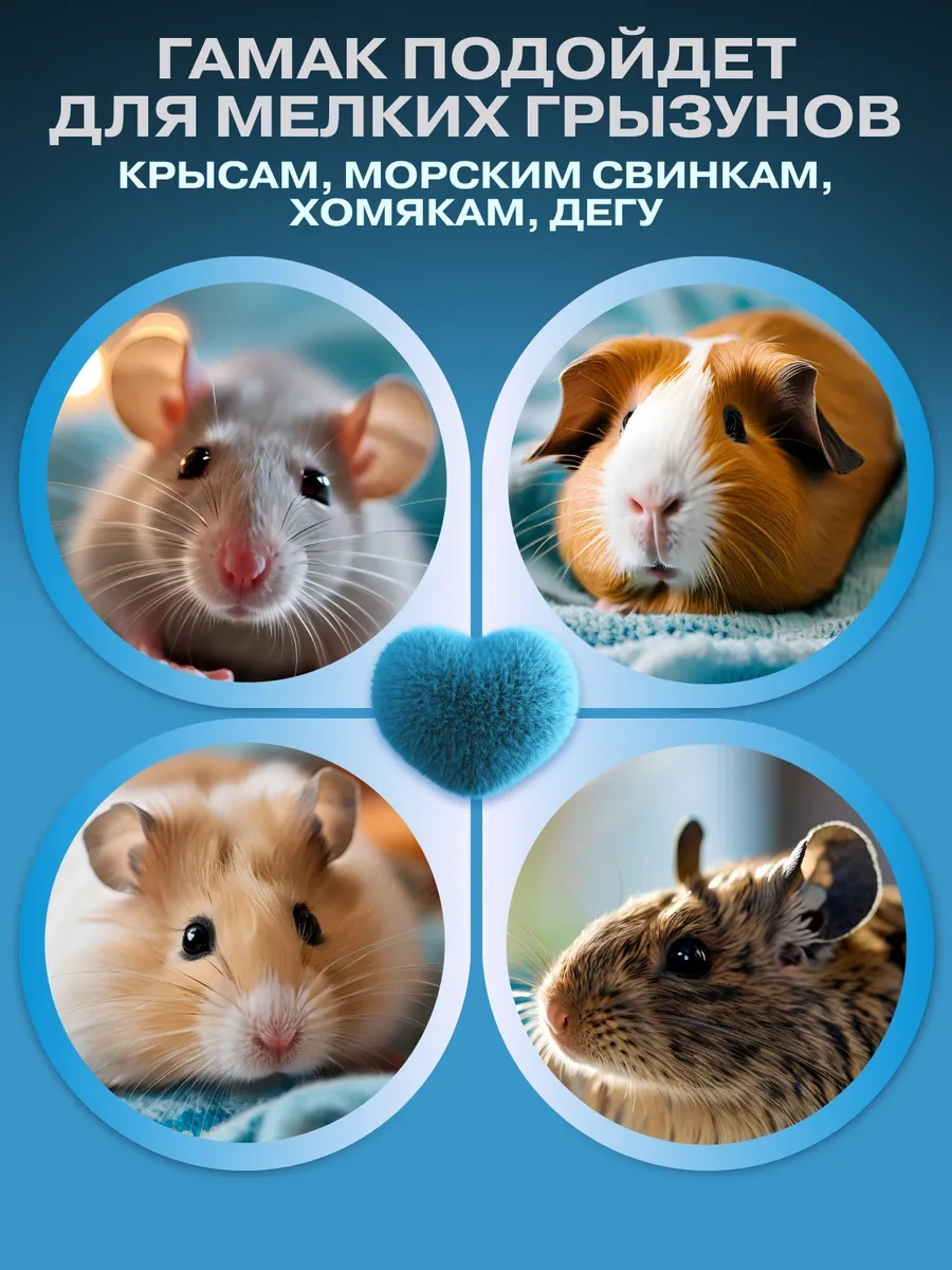 Zverusa Fareler Ve Kemirgenler İçin Yumuşak Askılı Kandang Hamak Evi 195614084