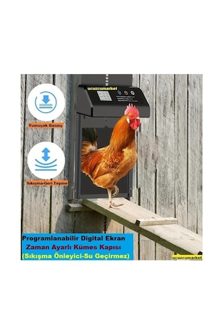 Zaman Ayarlı Programlanabilir Dijital Ekran Kümes Kapısı