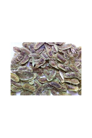 Benim Aktar Açlık Otu 500 G