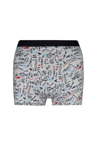 Alaturka Erkek Boxer Karışık Renk 3'lü Paket Set -bxr2000 Model-2 Model2