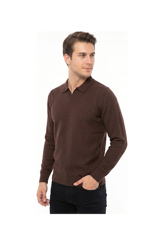 Foterman Erkek Spor Polo Yaka Mevsimlik Kazak Bgl-st05444 Kahverengi