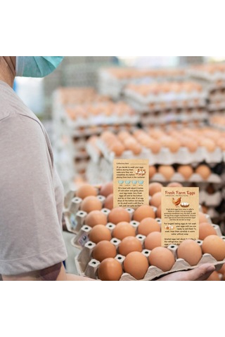 50pcs Mutfak Dolap Masası İçin Çift Taraflı Baskı Tasarımına Sahip Taze Yumurta Güvenlik Bakım Etiketi Çok Renkli