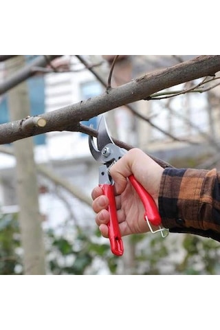 Rtrmax Bağ Budama Makası Rh-05806