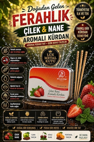 Mucize 2"li Set Çilek Nane Aromalı Kürdan Metal Kutu+ Doypak