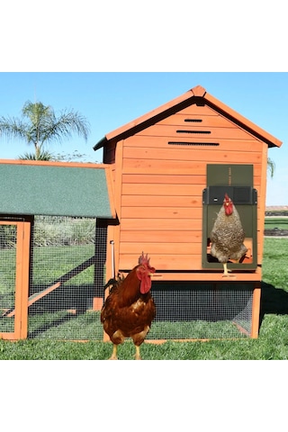 Otomatik Tavuk Kümesi Kapı Açacağı Akülü Işık Algılama Kontrolü Su Geçirmez Pet Red