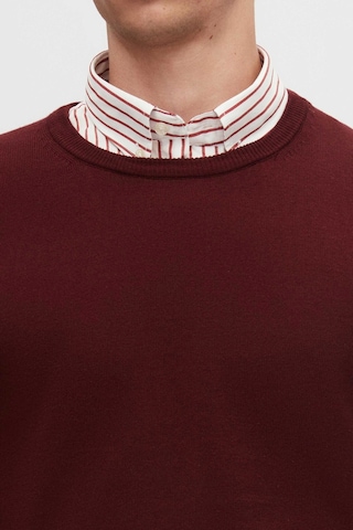 D's Damat Regular Fit Bordo Tüylenme Yapmayan Bisiklet Yaka Triko Kazak Bordo