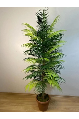 Yapay Areka Palmiyesi Ağaç 100 Cm Çok Renkli Yapay Areka Palmiyesi Ağaç 100 Cm Çok Renkli