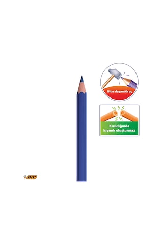 Bic Kids Evolution Metal Tüp Kuru Boya Kalemi 24 + 1'li