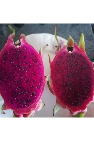 Ejder Meyvesi 2 Kg 100 Gr Ve Üzeri Ejder Meyvesi 2 Kg 100 Gr Ve Üzeri