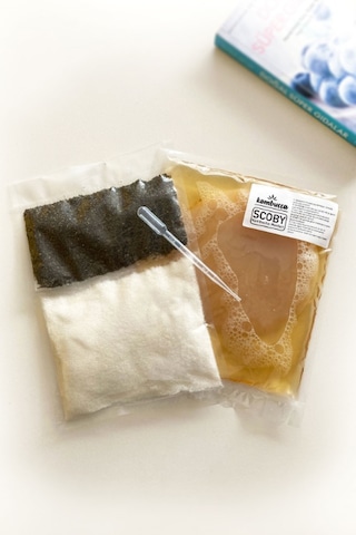 Kombuçça Kombucha Başlangıç Kiti Mantarı Kombuça Scoby - Kombu Çayı - Kambuça Kültürü Mayası 3'lü