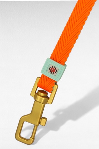 Caramelos Köpek Gezdirme Tasma Kayışı Yüksek Mukavemetli Tasma Halatı Gezdirme Ipi Bedenli Turuncu