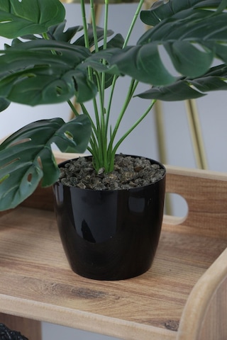 Yapay Çiçek Deposu Yapay Devetabanı Monstera Bitkisi Siyah Saksıda 45 Cm