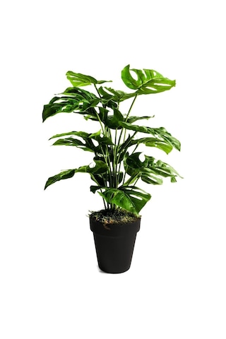 Yapay Ağaç Salon Bitkisi Monstera 70 Cm 18 Yaprak Antrasit Saksıd