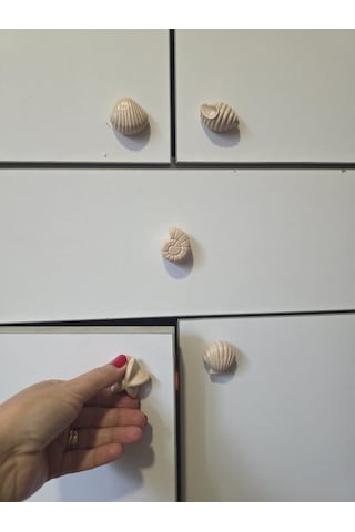 6'lı Deniz Kabuğu Temalı Dolap Çekmece Kulpu, Açık Kahve, 4-5 Cm, Açık Kahverengi
