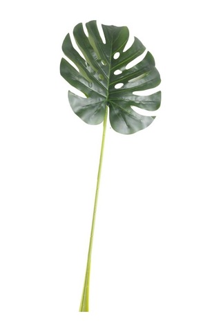 T.concept Dekoratif Gerçekçi Yapay Palm Yaprağı 75 Cm A10269-09