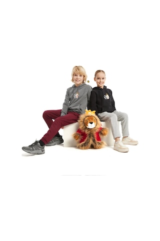 Gs Şampiyonlar Ligi Ucl Hoodie 230613k SIYAH