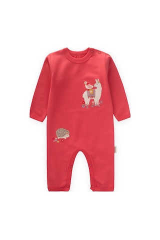 Tulum 0-3 Yaş Mercan Mercan