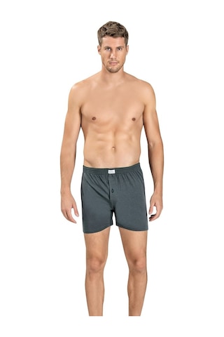 Jiber Erkek Füme Havlu Kemer Pamuklu Boxer 127