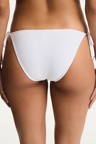 Penti Beyaz Ava Bikini Bikini Altı
