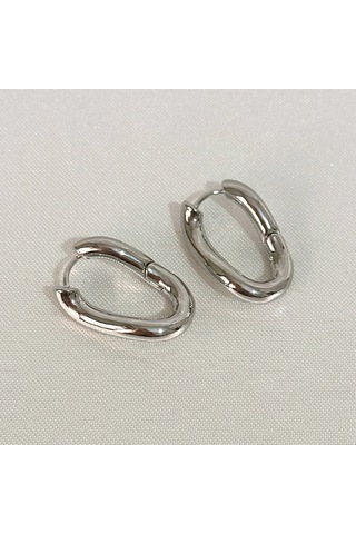 Kıvrımlı Şık Çelik Silver Küpe Gold