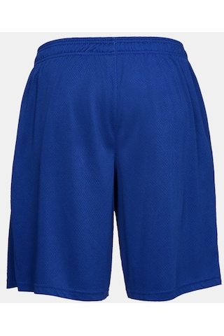 Under Armour Erkek UA Tech™ File Şort 1328705-400