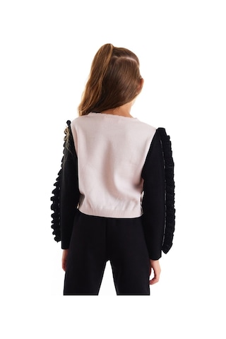 Denokids Mushi Kuğu Kız Triko Kazak Pembe - Siyah