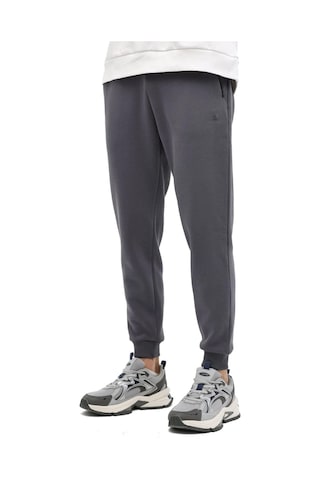 Lumberjack Mb Ct05 Jogger 5pr Erkek Polar Eşofman Altı Antrasit