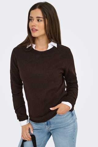 Only Onlrica Regular Fit Bisiklet Yaka Kazak Kadın Kazak 15204279 Koyu Kahve