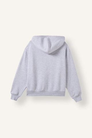Defacto Relax Fıt Kapüşonlu Basıc Düz Kalın Sweatshirt Kumaşı Hırka C1809ax26wngr93 Gri-gr93