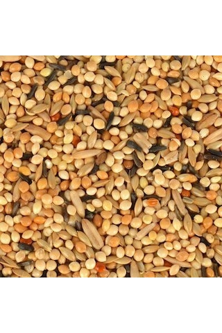 Quik Yavru Muhabbet Yemi 400 Gr X 3 ADET