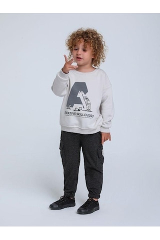 Jack Lions Erkek Bebek İnce Şardonlu Creative Yazılı Sweatshirt-14249 Gri