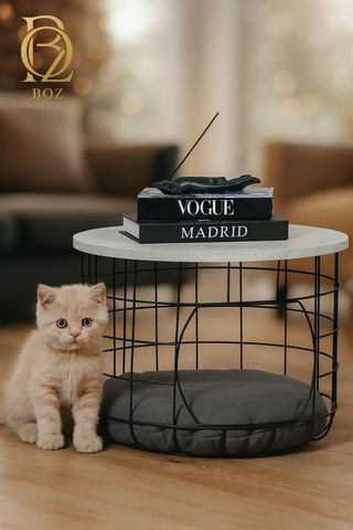 İkili Minderli Kedi Yuvalığı Metal Zigon Sehpa Seti Siyah