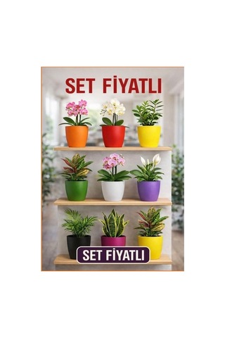 Hüskon Ticaret 5'li Orkide Dekoratif Saksı Seti Kırılmaz Plastik 1.25 L 12.5 Cm Çap 15 Cm Yükseklik Renkli