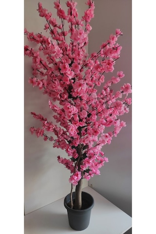 Rüzgar Çiçekcilik 145 Cm Plastik Saksıda Pembe Bahardali Pembe