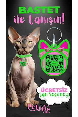 Petjoo 1.Bastet Pembe-Yeşil Qr'lı Kedi Künyesi