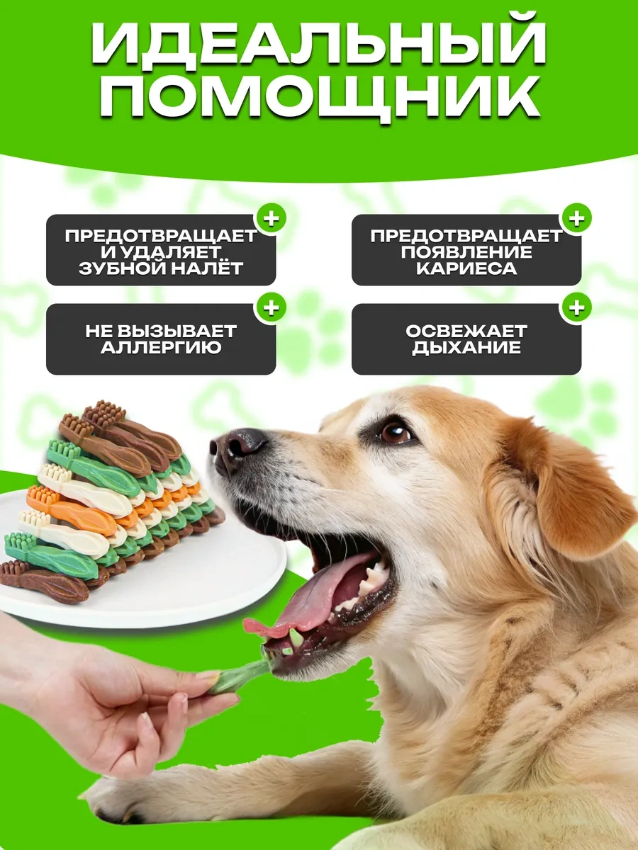 Dogtoy Köpekler İçin Diş Fırçası Kemik Şeklinde Çiğnenebilir Ödül Mamaları 372286581