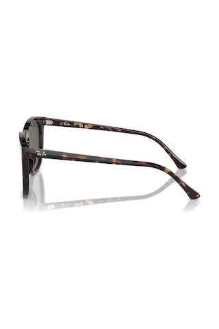 Rayban 0rb2210 902/31 53 Kadın Güneş Gözlüğü