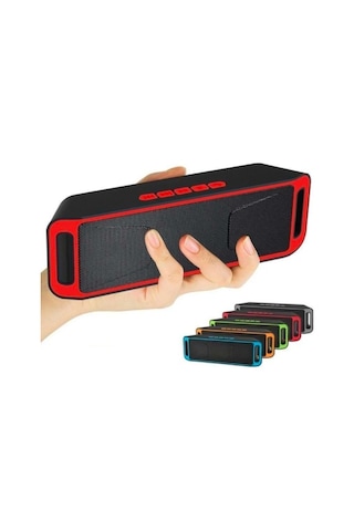 Polygold PG-423 3W Bluetooth Hoparlör Çok Renkli