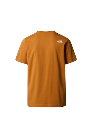 The North Face M Mountaın Lıne Erkek Tişört Nf0a87ntpco1 Kahverengi